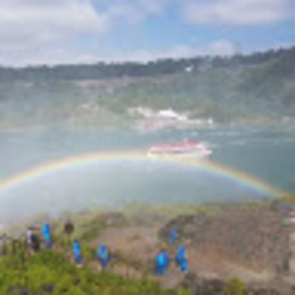 Meet your Posher, Zille